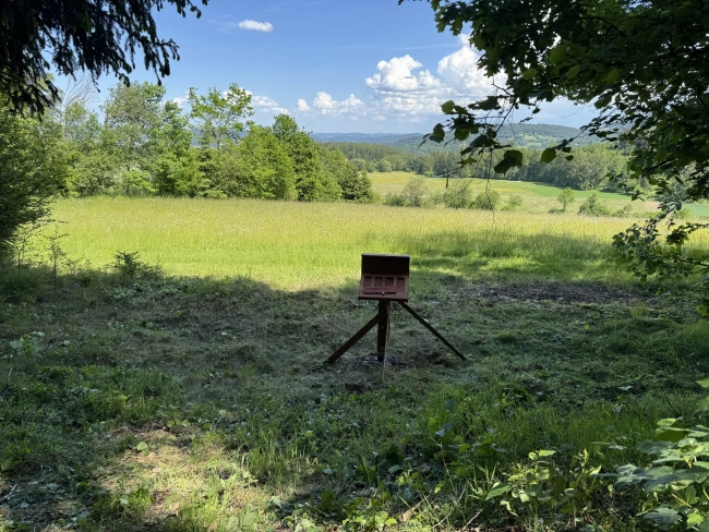 Vyhlídka na plášti 2025 pultík